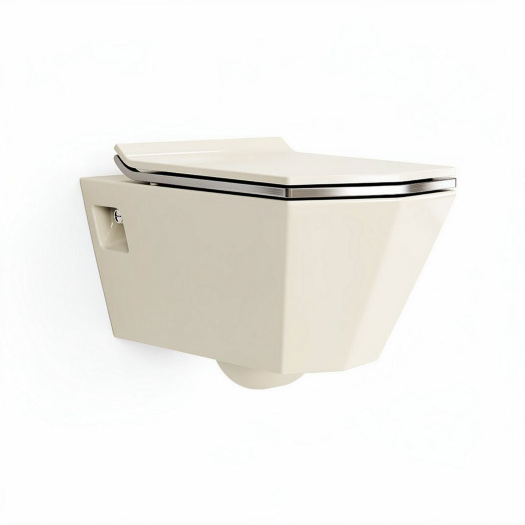 Toilette suspendue blanche en céramique dimensions 50 x 35 x 30cm